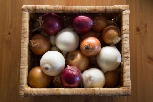 how to store onions