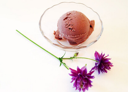 Caramelized Onion-Dark Chocolate Ice Cream