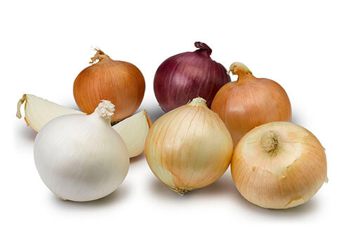 Colors Seasons of Onions