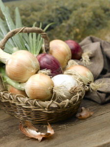 Basket of onions — National Onion Association