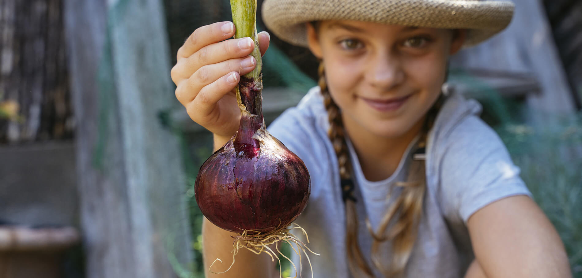 National Onion Association