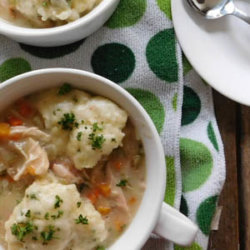 Southern Chicken and Dumplings National Onion association