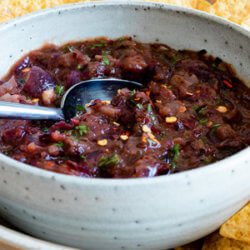 Charred Red Onion Salsa