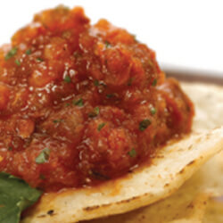 Charred Tomato and Onion Salsa on a tortilla chip