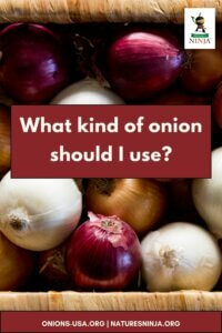 Onion illustration, white letters on maroon background atop onions